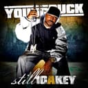 fallback