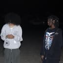 fallback