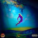 fallback