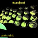 fallback