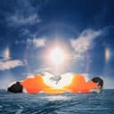 fallback