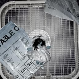 fallback