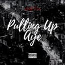 fallback
