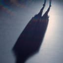fallback