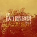 fallback