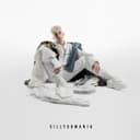fallback