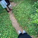 fallback