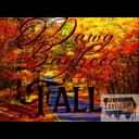 fallback