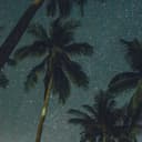 fallback