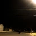 fallback
