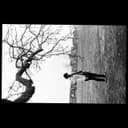 fallback
