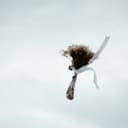 fallback