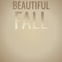 fallback