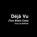 fallback