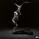 fallback