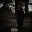 fallback