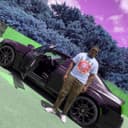 fallback
