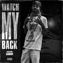 fallback