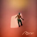 fallback