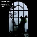 fallback