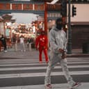 fallback
