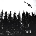 fallback