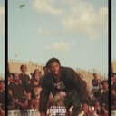 fallback