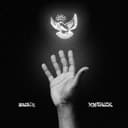 fallback