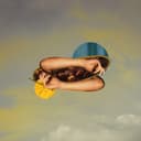 fallback