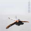 fallback
