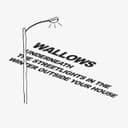fallback