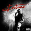 fallback