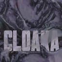 fallback