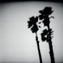 fallback