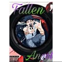 fallback