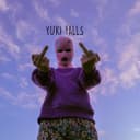 fallback