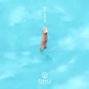 fallback