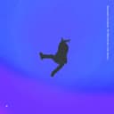 fallback