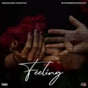 fallback
