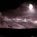 fallback