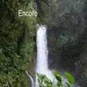 fallback