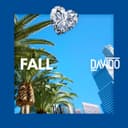fallback