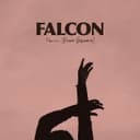 fallback