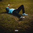 fallback