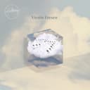 fallback