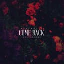 fallback