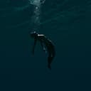 fallback