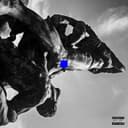 fallback