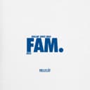 fallback