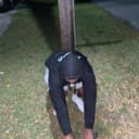 fallback